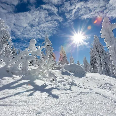 4seasons Z Prywatna Sauna I Kominkiem Lejlighed