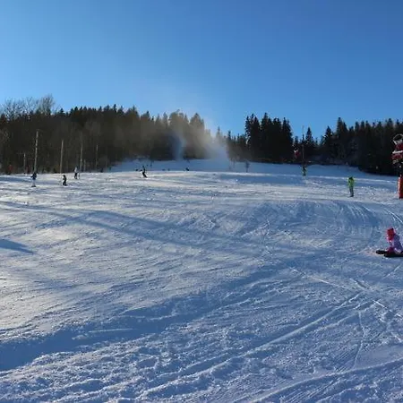 公寓 4seasons Z Prywatna Sauna I Kominkiem 卡尔帕奇