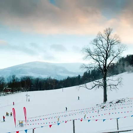 4seasons Z Prywatna Sauna I Kominkiem Apartment Karpacz