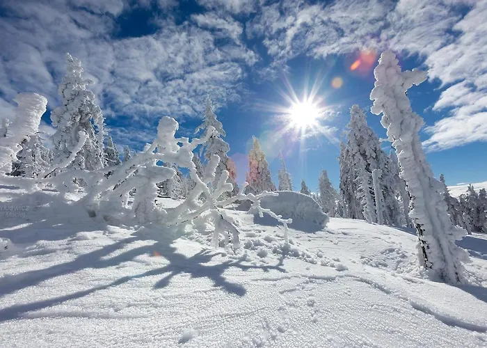 4seasons Z Prywatna Sauna I Kominkiem דירה