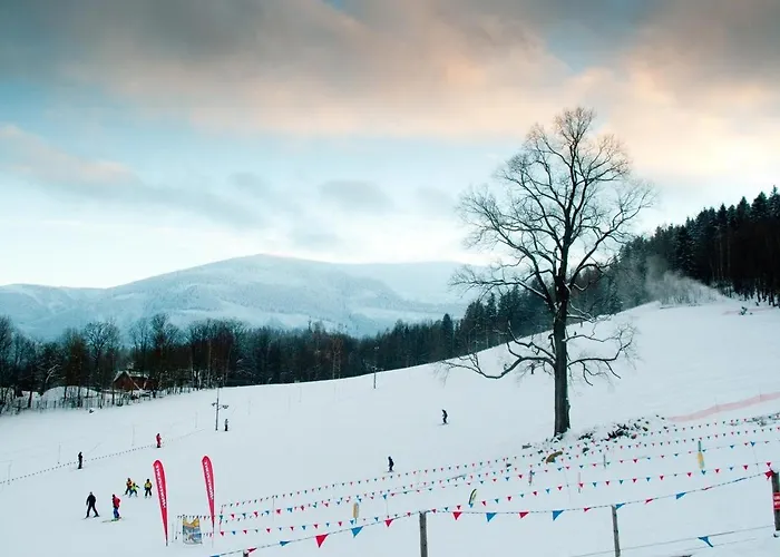 4seasons Z Prywatna Sauna I Kominkiem דירה קרפאז'